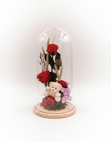 CUPULA LUZ - Imagen 1