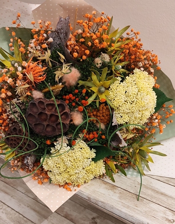 Dryorange - Imagen 1