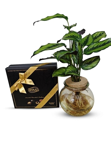 Dulce natuur - Imagen 1