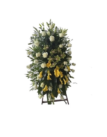 lagrimal decoJuan - Imagen 1