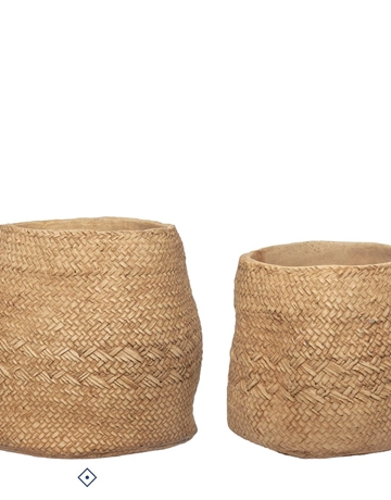 maceta cemices - Imagen 1